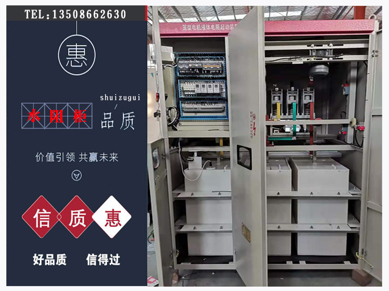 高壓籠型水阻柜廠家